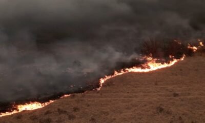 texs wildfire