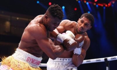 Anthony Joshua Punch